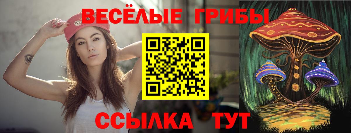 Галлюциногенные грибы мухоморы Коммунар