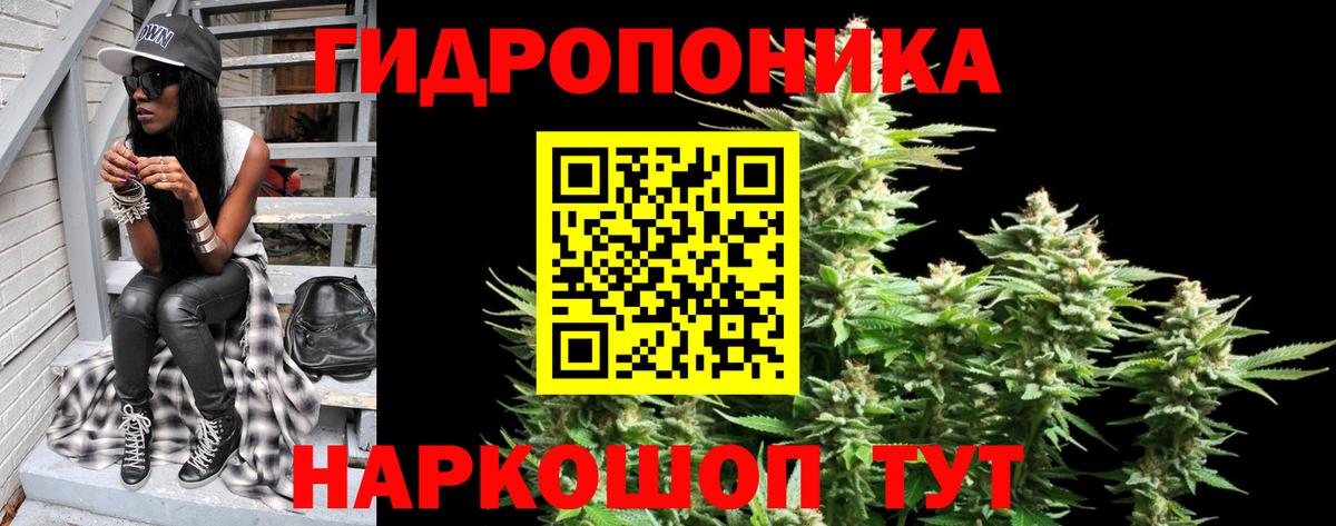 Конопля конопля Коммунар